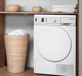 第一台家电 年轻群体，买新还是租旧？